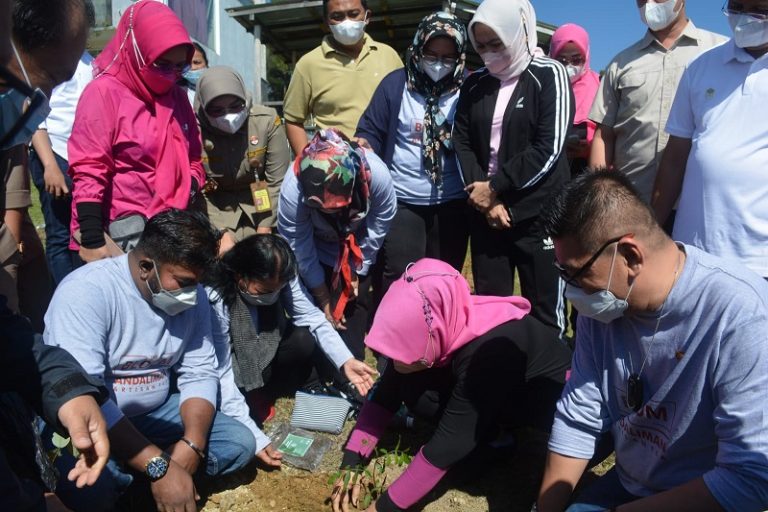 1200 Pohon Andaliman Mulai Dibudidayakan di Tanah Karo oleh The Bloom Andaliman Artisan Tea 1200 Pohon Andaliman Mulai Dibudidayakan di Tanah Karo oleh The Bloom Andaliman Artisan Tea