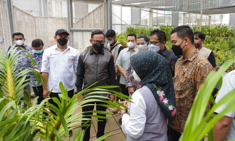 Konservasi Anggrek di Kebun Raya Bogor Diresmikan, Wali Kota Berharap Jadi Daya Tarik Kota Bogor