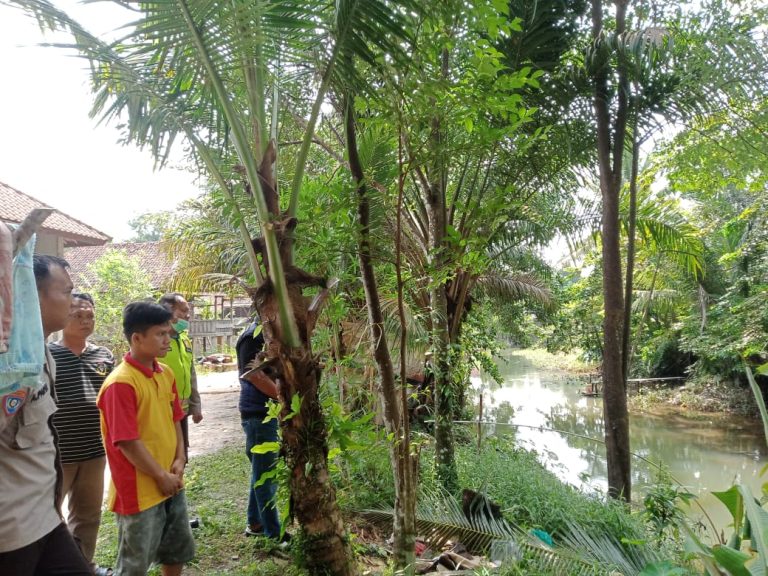 Mandi di Sungai Batang Hari, Dua Bocah Sungai Medang Tenggelam