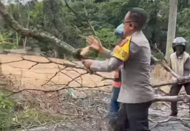 Aksi Heroik, Wakapolres Prabumulih Evakuasi Pohon Tumbang