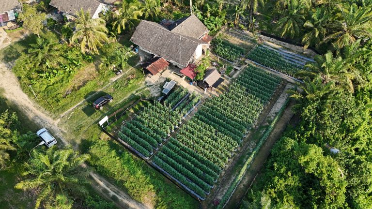 Pertamina EP Rantau Dorong Regenerasi Petani Lewat Sekolah Lapang Melon Golden