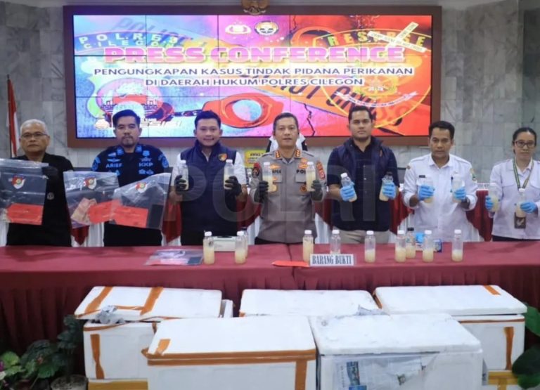 Gagalkan Penyelundupan 50 Ribu Benih Lobster Senilai Rp7,5 Miliar, Tujuan Palembang