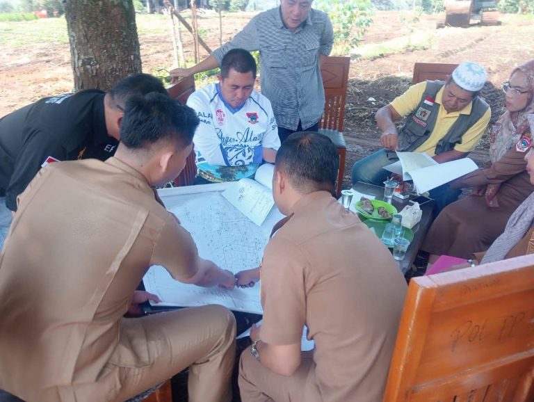Didukung Benih dari Pusat, Pagaralam Siap Jadi Sentra Bawang Putih Sumsel