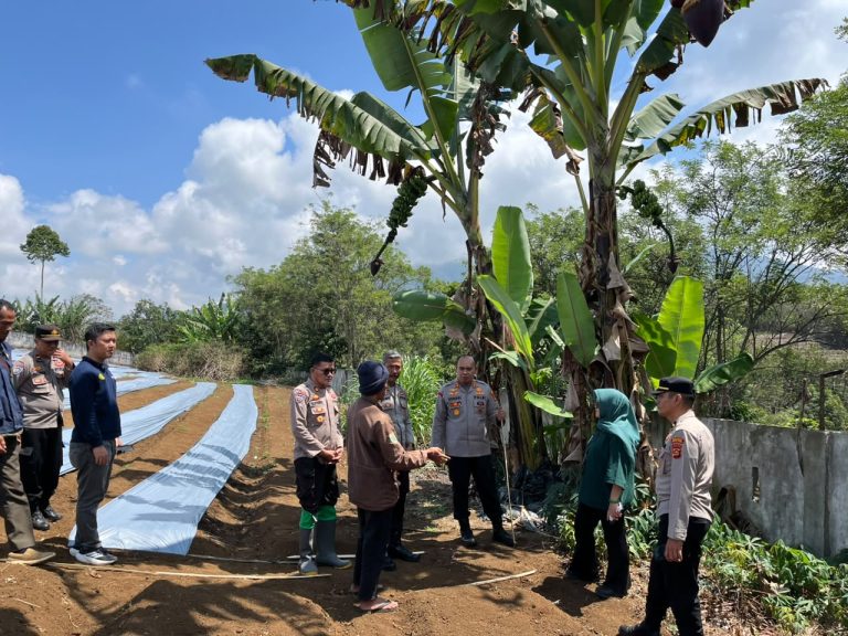 Dorong Ketahanan Pangan 2026, Polres Muara Enim Bersama Pemkab Cek Potensi Lahan Bawang Putih